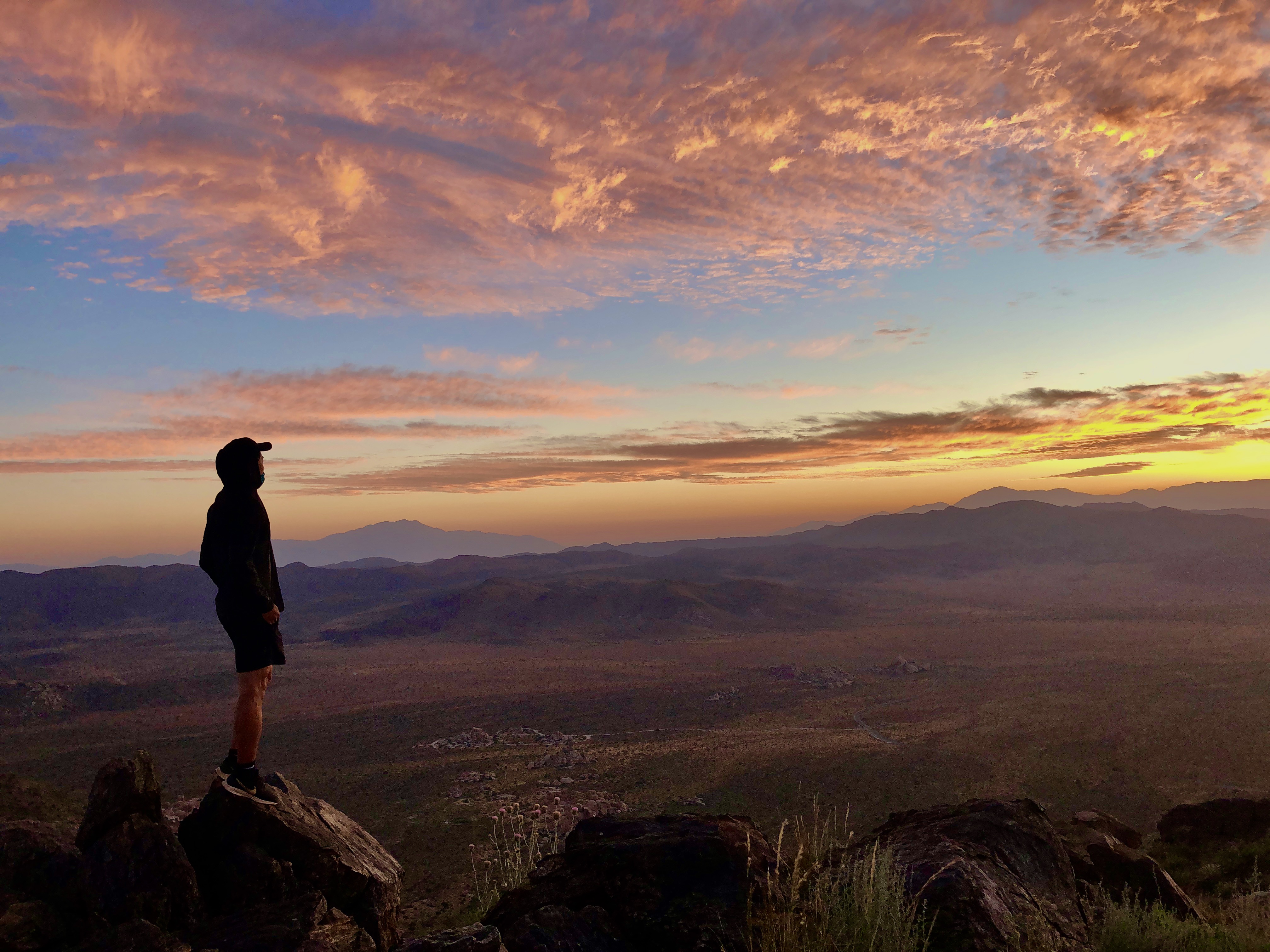 Ryan Mountain, Joshua Tree